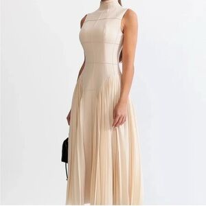 Elegant & Stunning viral nude mock neck pleated dress